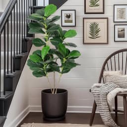 Artificial Fiddle Leaf Fig Tree Large Faux Plant Tree with Black Planter Pot Fake Potted for Indoor Outdoor Home Office Decor
