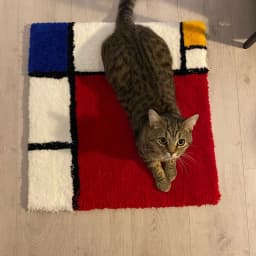 1.5mx10m/4m Primary Tufting Cloth Backing Polyester Fabric for Using Rug Tufting Guns Beige Background Yellow Line Solid Pattern
