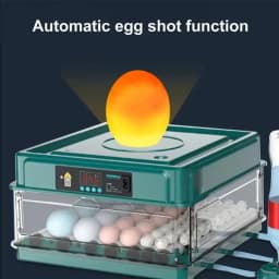 220V 24/36 Eggs Incubator Brooder Bird Quail Chick Eggs Farm Hatcher Automatic Farm Incubation Tools Poultry Hatcher Turner