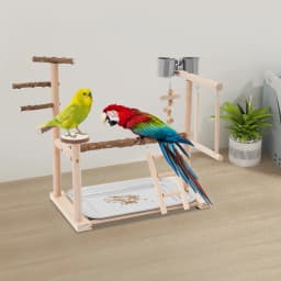 Parrot Bird Play Stand, Wooden Bird Playing Stand, Bird Playground with Ladder and Swing