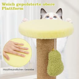 Small Cat Scratching Post, 50 cm High, Avocado Look, Cat Scratching Post with Cat Bed & Feather Toy & Sisal Scratching Posts