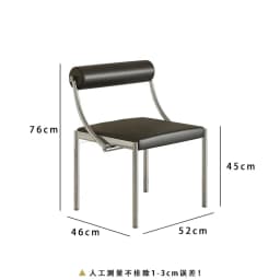 Mid-Century Modern Dining Chair for Bedroom or Study, Stainless Steel Seating, Trendy Makeup Chair, Designer Home