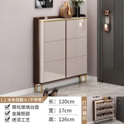 Entrance Hall Shoe Rack Box Stand Cupboard Holder Space Saving Shoe Cabinet Desk Display Shelf Porta Zapatos Home Furniture