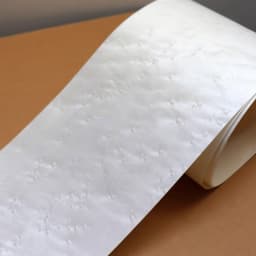 L:2.5meters Width:180mm T:0.25mm Natural Maple Bird's Eye Wood Veneer for DIY Furniture Home Speaker and Instrument