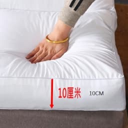 10cm Thick And Comfortable Tatami Floor Mattress/Bed Fashion Comfy Futon For Five Star Hotel Nap Thickened Single Use Sleeping