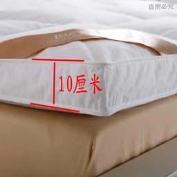 Five Star Hotel Mattresses 10cm Thick Soft And Comfortable Mattress 5cm For Family Bedspreads King Queen Twin Full Size Tatami