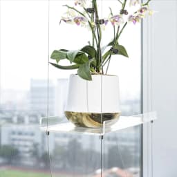 ABWP-3-Tier Window Plant Shelves 16 Inch, Acrylic Adjustable Hanging Floating Shelf, Window Sill Extender For Indoor Plants
