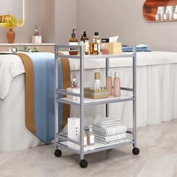 Luxury Salon Trolley Professional Barber Chariot Spa Equipment Chairs Organizers Tool Cart Mueble Con Ruedas Salon Furniture