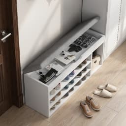 Space Saving Entryway Shoe Rack Bench with Seat for Home Hallway Living Room Dorm Easy Assembly Multipurpose Storage Organizer