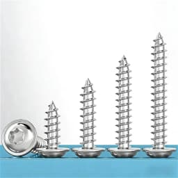 304 Stainless Steel M2 M2.6 M3 M4 M5 M6 M8 Pan Round Head Plus-Blossom Six-Lobe Torx with Washer Cushion Self-Tapping Wood Screw