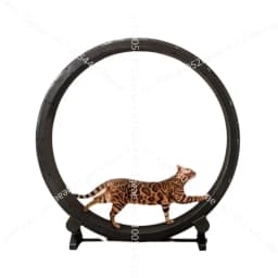 Cat treadmill cat climbing frame cat training silent silky