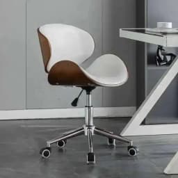 Chair Wood Craft Backrest Chairs Stainless Computer Steel Lift Chair Office Swivel Chair Study Dormitory Solid Desk Chairs