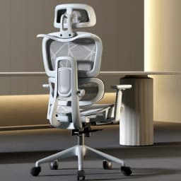 Adjustable Armrests Armchair 3D Ergonomic Chair Office Chair Computer Headrest Advanced Leg Rest Anime Gamer Bedroom