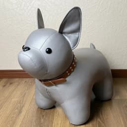 Dog Shoe Bench Home Entrance and Living Room Animal Themed Seat Cute Animated Children Stool Portable Stool Chair