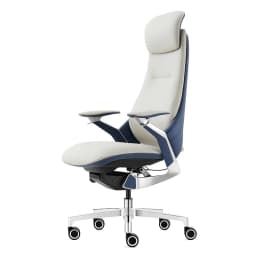 Computer Relaxing Office Chair Ergonomic Mobile Wheels Leather Office Chair Backrest Modern Sillas De Oficina Library Furniture