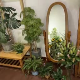 Korean Blogger Ins Style Floor Mirror Bedroom Retro French Medieval Style Dressing Mirror Source Factory One Piece Wholesale