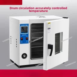 Laboratory Electric Heating Constant Temperature Blast Drying Oven Industrial 3D Printing Materials Commercial