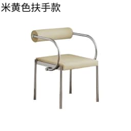 Designer Vintage Bauhaus Dining Chair Light Luxury High End Cafe Table Backrest Seat Retro Modern Comfort Decor Furniture