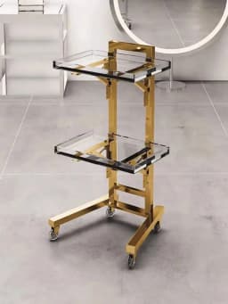 Japanese Style Barber Shop Trolley Storable Simplicity Modern Trolley Designer Multifunctional Furniture Pousser Un Chariot Hbsc