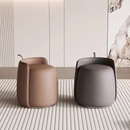 Luxury Minimalist Dressing Stool for Vanity Shoe Changing Living Room Seating & Footrest Versatile Multipurpose Stool