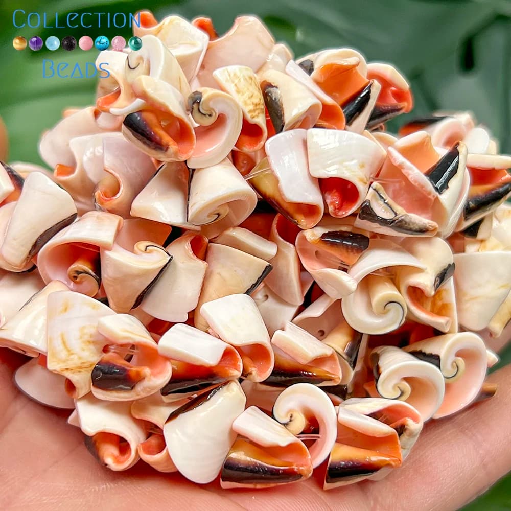 12mm Natural Red-mouthed Snail Shell Loose Bead For Jewelry Making DIY Bracelets Necklace Accessories 15inches