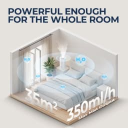 Air Humidifier with Low Water Protection, 4L Large Capacity Ultrasonic Humidifier