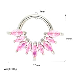 1/4 Pcs 316 Stainless Steel Closed Hinge Inlaid Purple, Pink, White, Orange 5A Zircon Pierced Nose Ring Earrings
