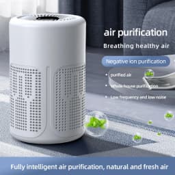 Negative Ion Mini Desktop Home USB Purifier Remove Smoke and Odor and Dust Particles HEPA Filter Efficient Purifying Air