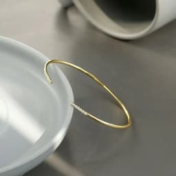 Premium Women's 2025 Simple Yet Stylish 5a Zircon Inlay Bracelet 18k Gold Plated Perfect Jewelry Gift