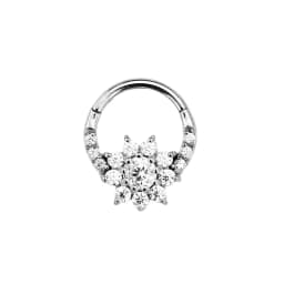 Tribal Fangs Flower Heart Drop Septum Piercing Clicker Segment Nose Rings Daith Conch Hoop Earring 100% 316L Surgical Steel 16G