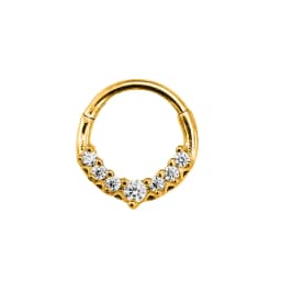 Tribal Fangs Flower Heart Drop Septum Piercing Clicker Segment Nose Rings Daith Conch Hoop Earring 100% 316L Surgical Steel 16G