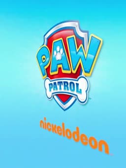Original Paw Patrol 10PCS=5Pairs Children Socks Baby Boy Sock Age 3-8Y Chase Marshall Rocky Rubble Zuma Boys Girls Cotton Socks