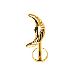 ASTM F136 G23 Titanium Flower Moon Crown Threadless Piercing Crescent Pin Push in Labret Stud Daith Conch Earring 16G 18G 20G