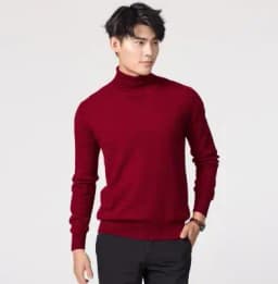 Cashmere Turtleneck Men Sweater Clothes for 2024 Autumn Winter Jersey Hombre Pull Homme Hiver Pullover Men High Neck Sweaters