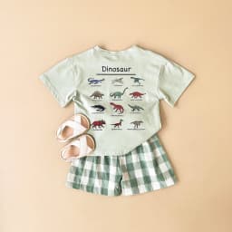 2Pcs Set New Baby Boy Girl Clothing Set Toddler Baby Clothes Dinosaur Print T-shirt+Grid Shorts Newborn Boy Girl Summer Outfits
