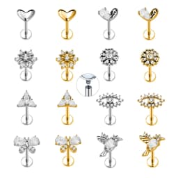 Heart Bird Flower Butterfly Labret Piercing Eye Shape Daith Conch Earring Teardrop CZ Lip Stud 316L Surgical Steel 16G