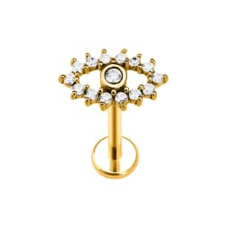 Heart Bird Flower Butterfly Labret Piercing Eye Shape Daith Conch Earring Teardrop CZ Lip Stud 316L Surgical Steel 16G