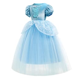 Girl Fancy Birthday Party Cinderella Ball Gown with Gloves Embroidery Floral Puffy Kids Princess Party Dress Fairy Glass Slipper