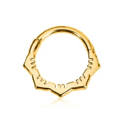 Tusk Flower Heart Waterdrop Moon Branch Chain Septum Piercing Daith Conch Hoop Earring Clicker Segment Ring 316 Surgical Steel