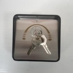 High Quality Factory Professional Design Key Switch 16018-2A for Roller Shutter/Roller Door Opener