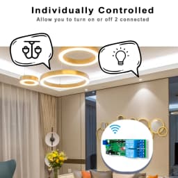 EWelink WiFi Switch Smart Garage Door Opener Controller 2CH 12V 24V 110V 220V 230V WIFI RF Receiver Inching Self-locking DIY