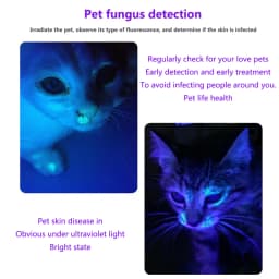 3W Mini USB Rechargeable 365/395nm Blacklight UV Flashlight Ultraviolet Torch Cat Dog Urine Scorpion Tinea Money Detector Lamp