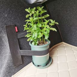 Car Back Rear Trunk Elastic Mesh Fixed Straps Car Interior Organizer Extinguisher Storage Net Seat Back Fixing Bag Car Accessory