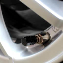 AUTCOAT Tire Valve Caps (12 Pcs) Heavy-Duty Stem Covers | Dust Proof, with O Rubber Seal | Hexagon Design