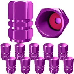 AUTCOAT Tire Valve Caps (12 Pcs) Heavy-Duty Stem Covers | Dust Proof, with O Rubber Seal | Hexagon Design