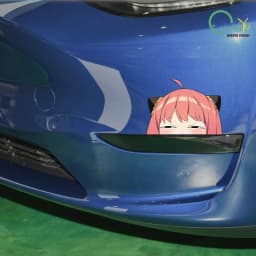 Ania Fujie Spies' Homecoming Head Facial Bag Body Door Sticker anime Creative Reflective Sticker