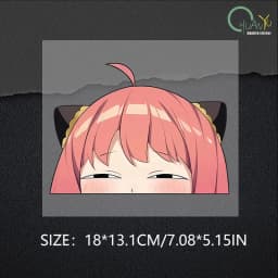 Ania Fujie Spies' Homecoming Head Facial Bag Body Door Sticker anime Creative Reflective Sticker