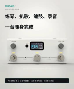 LIVTRA NANOCORE/MOSAICI Mini Multi-Effect Processor Pocket Pedal AMP AI Drums Loopback NAM Master Tone for Acoustic Electric