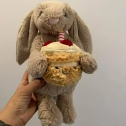 Cute Bunny Hood Bathrobe Teddy Bear Plush Doll Soft Stuffed Animal Sofa Decor Birthday Valentine Gift Cuddle Companion Toy