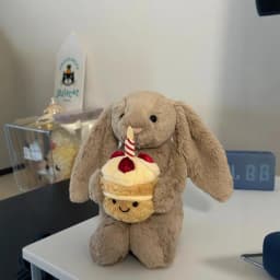Cute Bunny Hood Bathrobe Teddy Bear Plush Doll Soft Stuffed Animal Sofa Decor Birthday Valentine Gift Cuddle Companion Toy